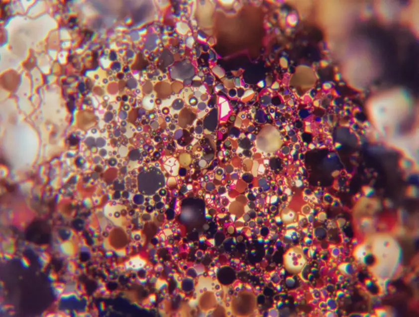 Flu under the microscope