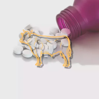 Veterinary Tablets