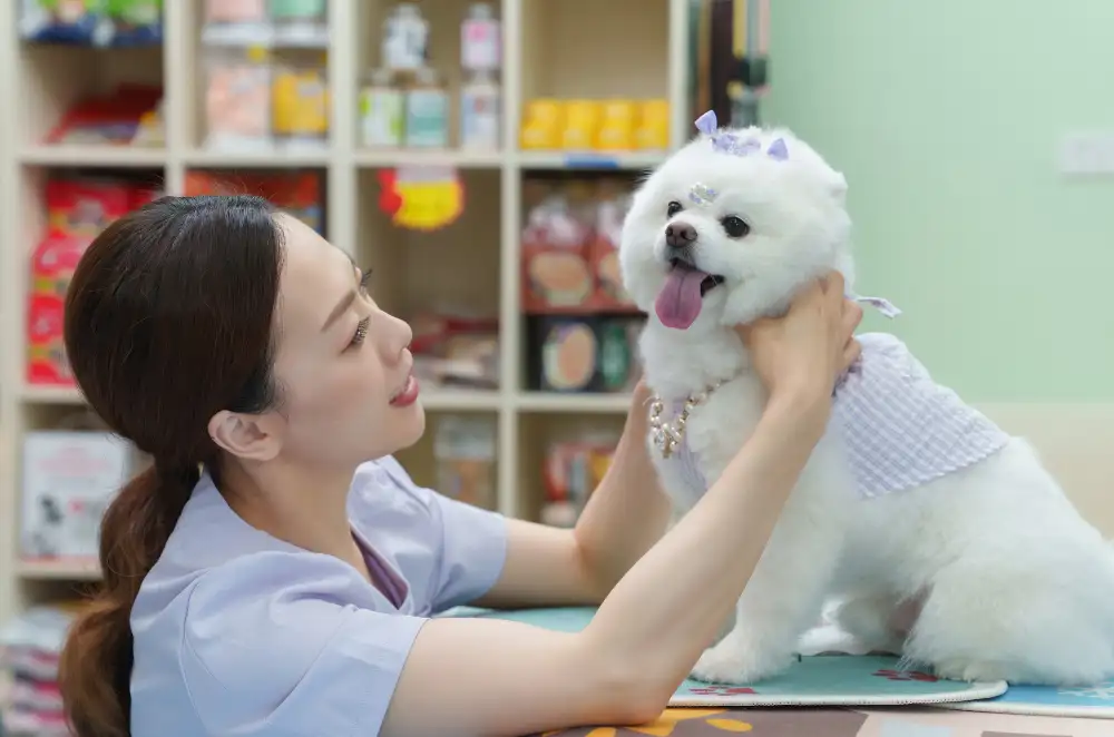 Veterinary Oral Suspension or Solution Banner
