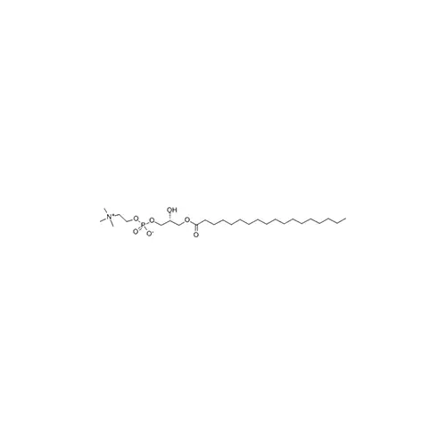 L-α-lysophosphatidylcholine, stearoyl (19420-57-6)
